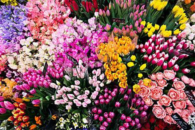 《使命召唤》系列解锁Steam国区 部分商品恢复购买