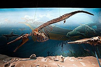 《博德之门3》总监玩得最多的游戏是魔兽 从小玩游戏上瘾